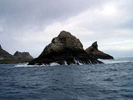 Farallon Islands Ca