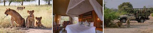 Gorongosa National Park - 11 Days Mozambique Bush & Beach (Luxury)