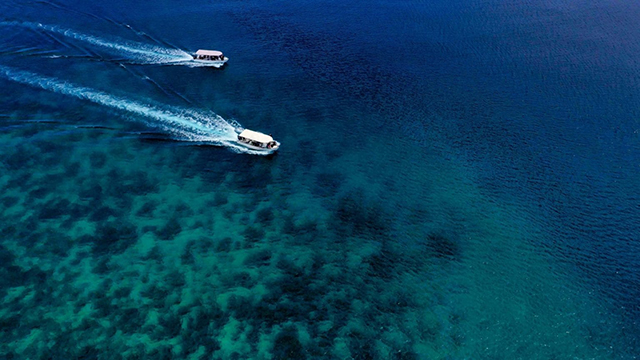 Speed Boats - Alami Alor - Indonesia Dive Resort