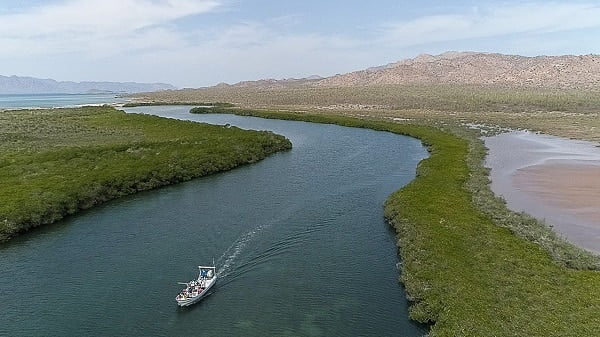 4 day/3-night conservation adventure - Camp Cuevas, Sea of Cortez, Mexico