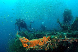 Dive Link Resort - Philippines Dive Resorts - Dive Discovery Philippines