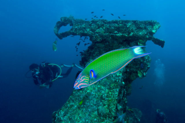 Djibouti Palace Kempinski - Djibouti Dive Resorts - Dive Discovery Djibouti