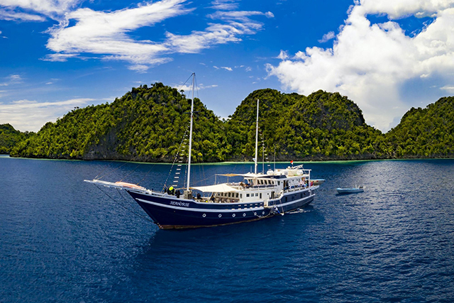 MSY Seahorse - Indonesia Liveaboards - Dive Discovery Indonesia