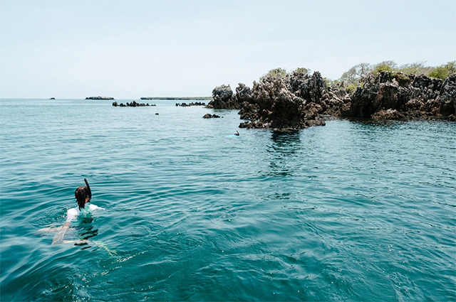 Snorkeling - Pole Pole - Mafia Island Dive Resorts - Dive Discovery Tanzania