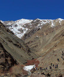 Snow Leopard Photography Trekking